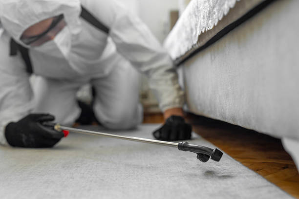 Professional Bed Bug Control technician working in Fort Branch, IN