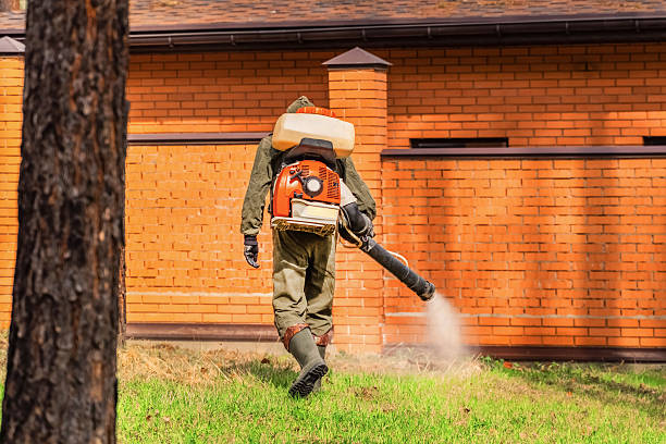 Trusted Termite Control service in Fort Branch, IN - Nex Pest Control